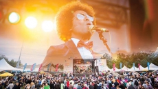 Fall Festivals You Must See