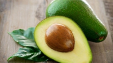 Avocados: Superfood of the Season