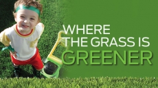 Where The Grass Is Greener