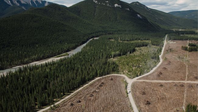 Alberta reaches settlement with two coal companies suing over policy flip-flop
