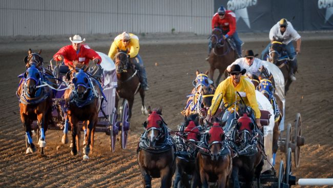 Cash for canvas: Annual Calgary Stampede tarp auction sets record of $6.1M in bids