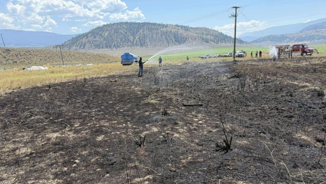 Fish dropped on power lines by bird caused B.C. blaze, firefighters say