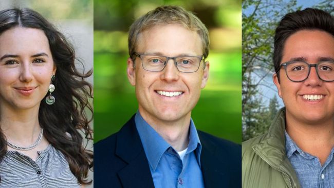 BC Greens have started to elect their new leader with process under observation