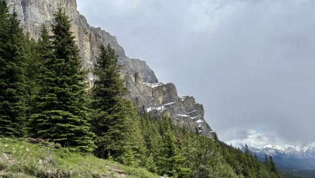 Dogs, crews and helicopters being deployed to find missing B.C. hiker in Banff park