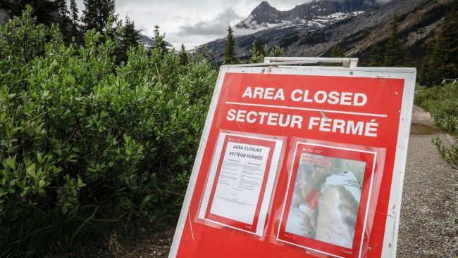 Section of Banff National Park remains closed to visitors one year after rockfall