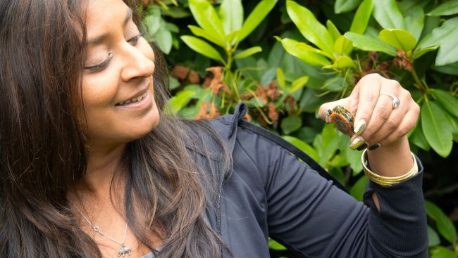 Slow and steady progress in decade-long project to save B.C.'s only native turtle