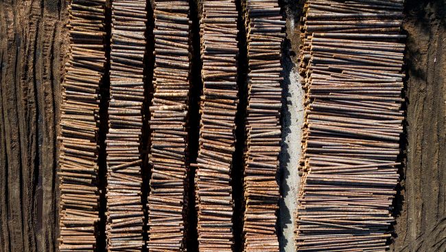 B.C. introducing legislative amendments to increase wood fibre supply