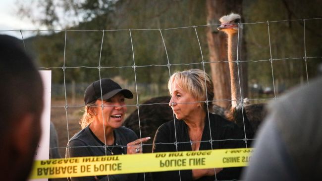 CFIA says B.C. ostrich farmers must leave by Tuesday or face arrest