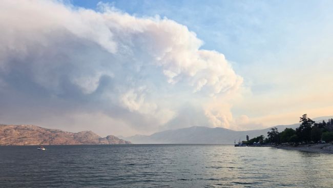 Here's a list of B.C.'s most destructive wildfires seasons
