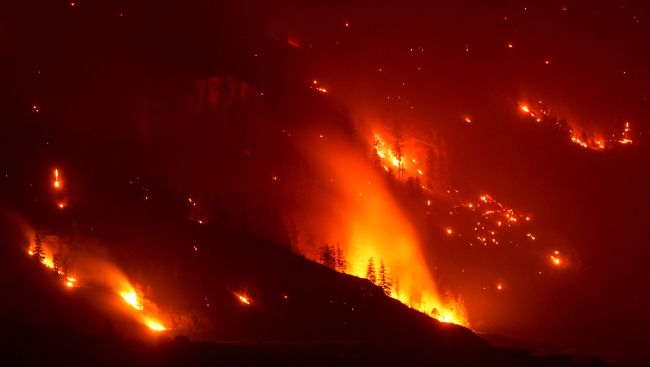 What to know about the Bald Range fire and B.C.'s wildfire emergency