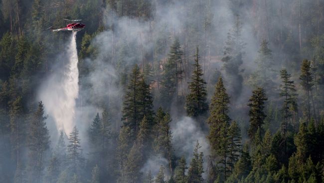 Active wildfires jump as heat warnings continue for parts of B.C.