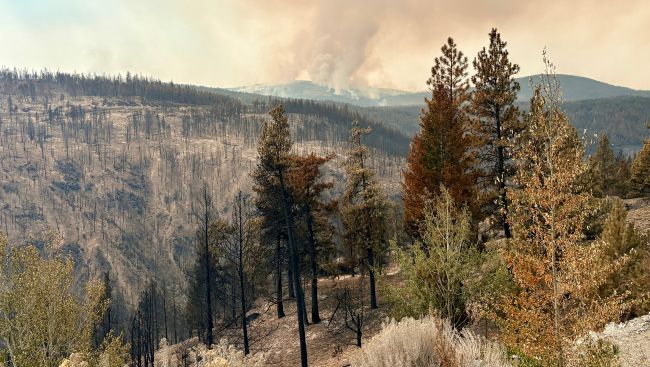 'It's not life back to normal,' even as B.C. wildfire evacuees return home