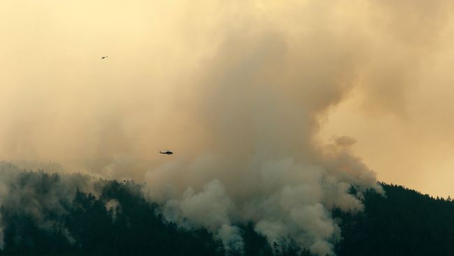 B.C. wildfire season scorched more than 8,800 square kilometres