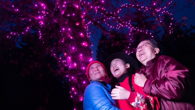 Bear Creek Lights returns with sparkling new paths and features