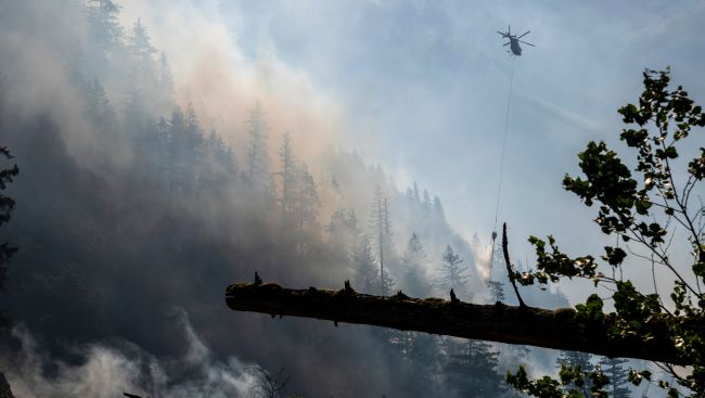 Canada's 2030 emissions target is out of reach after progress stalled in 2024: report