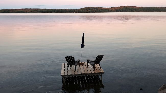 Climate change major driver of surging algae levels in Canada's lakes: study