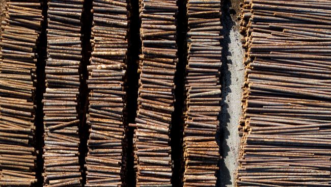 300 jobs lost as Canfor closes pulp mill outside Prince George, B.C.