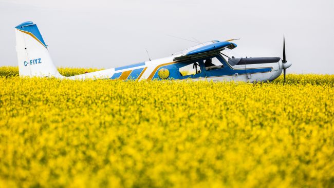 Chinese tariff on canola seed comes into force as farmers hope for resolution