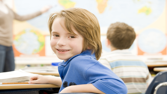 With Allergen-Free Classrooms On The Rise, Hamsters And Gerbils Are Left Behind