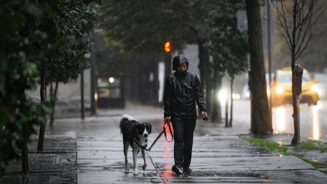 Power knocked out to thousands of customers as strong winds swept through B.C.