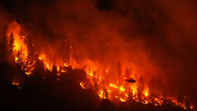 'Devastation': Chief says about 230 homes destroyed by B.C. wildfire