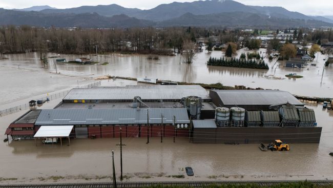 Familiar fate for Abbotsford as floodwaters gush over U.S. border into B.C. again