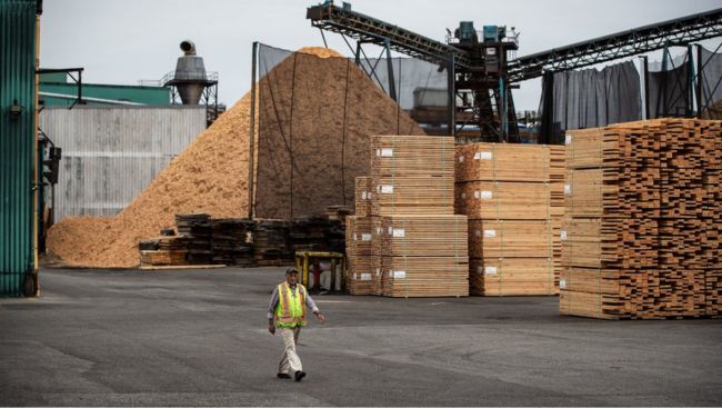 Canada's forestry sector faces uncertainty with 25 per cent U.S. tariffs