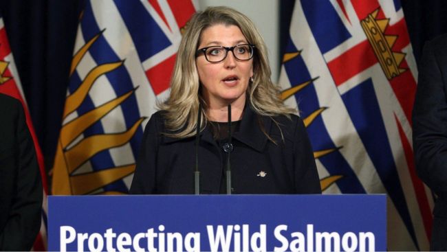 B.C. tree fruit growers get new $10M fund from the province