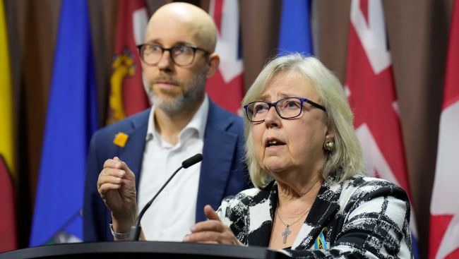 Two candidates running for Green Party leadership, winner to be announced Nov. 14