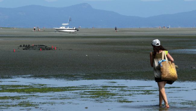 Heat warnings expand to much of southern B.C. as daily temperature records fall