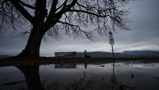 Heavy rain in B.C.'s south coast triggers flood warning on Vancouver Island