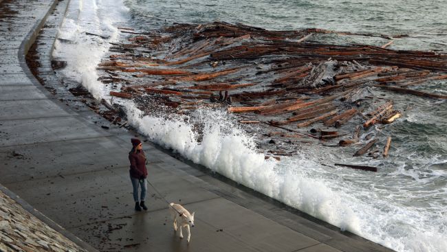 High winds reaching up to 90km/h slated for Metro Vancouver, B.C.'s south coast