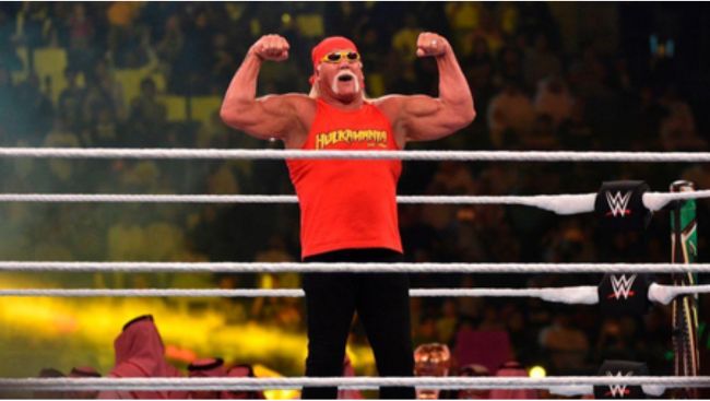 Wrestling icon Hulk Hogan dies at 71
