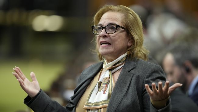 Immigration minister says struggling universities must ask provinces for help