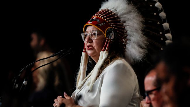 Indigenous leaders say federal budget falls short on health care, education