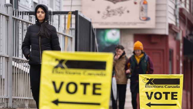 Elections Canada to launch review following issues with special ballots