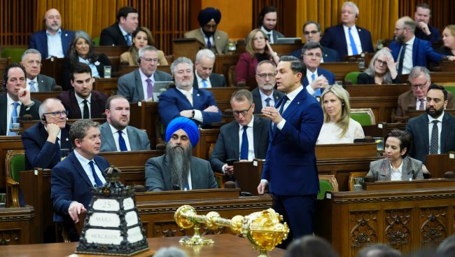 Poilievre's communications director Katy Merrifield resigns