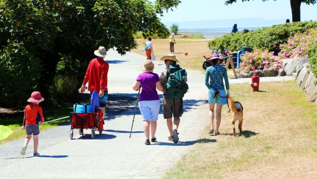Leashed dogs now welcome year-round at Crescent Beach