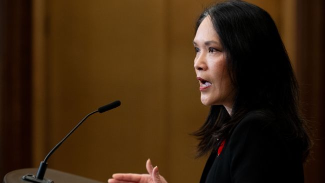 Liberals MPs warned that NDP bill on military exports could 'dismantle' defence trade