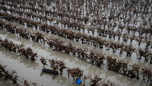 'High impact' warning as heavy rain returns, causing more flooding concerns in B.C.