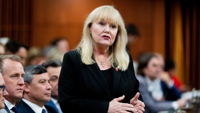 Former MP Findlay joins B.C. Conservative race amid donation row