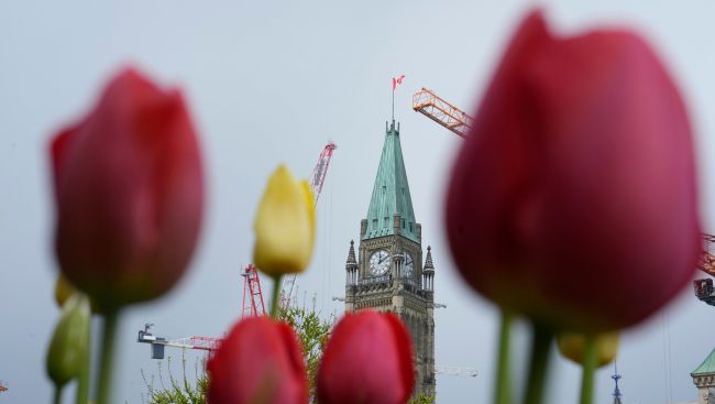 MPs pass spending bill, opt to head home for summer break