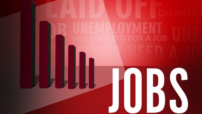 National employment numbers for November from Statistics Canada, at a glance