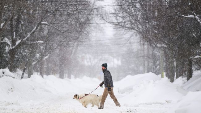 Government to bring forward online harms bill, AI minister says