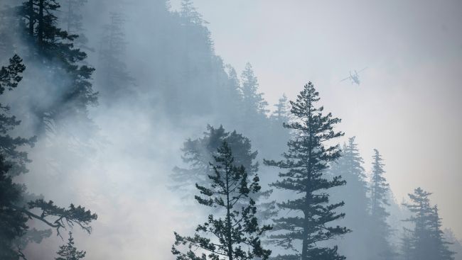 Wildfire near Princeton golf course in B.C. prompts evacuation order
