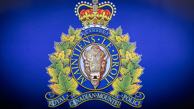 Falling tree kills mother, 26, and five-month-old baby at B.C. campground