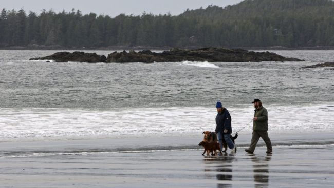 Record cold temperatures reported across several B.C. communities