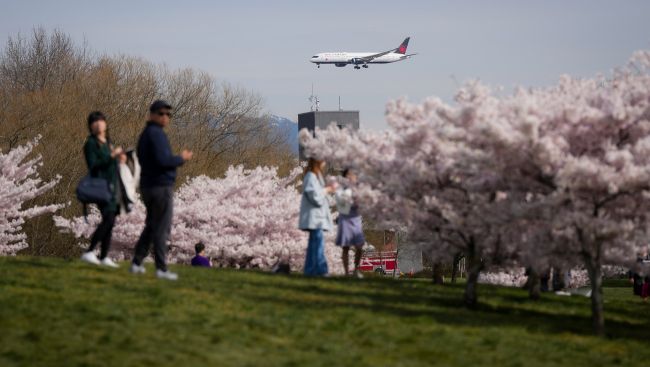 Record warmth in B.C. over weekend as high winds arrive along southern coast
