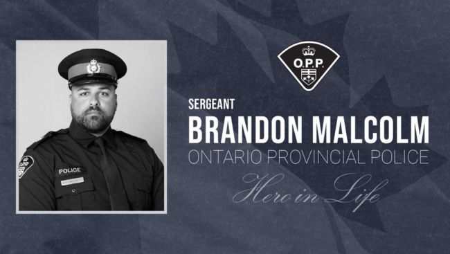 OPP officer dead after crash on Highway 401 in Cobourg: police