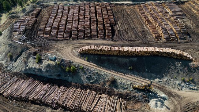 Canada drops 2 appeals of U.S. anti-dumping duties on softwood lumber